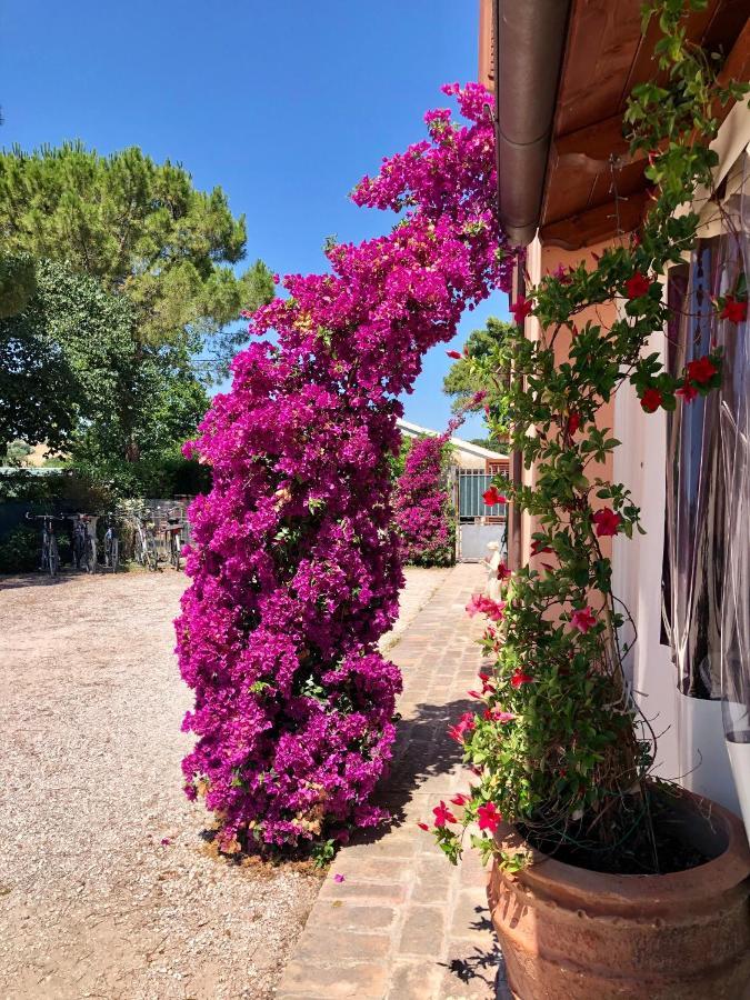 Fontebella Bed & Breakfast Montemarciano Exterior photo